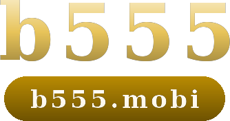 b555 logo